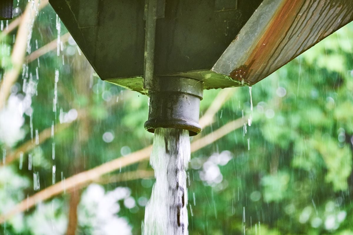 roof scupper with large amount of water running from a scupper box down a chain of metal rings due to heavy rain