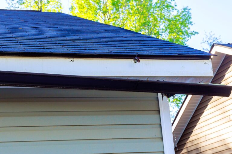 commercial gutter repair wasp nest is attached under the roof edge, near the gutter—an area where signs of gutter damage may appear. The house has light siding and black shingles, with another house and green trees in the background.