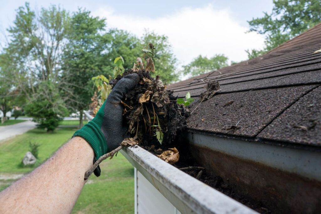 commercial gutter repair person wearing a green work glove removes leaves, sticks, and debris from a house gutter next to a shingled roof, illustrating essential gutter system maintenance. Trees and grass are visible in the background.