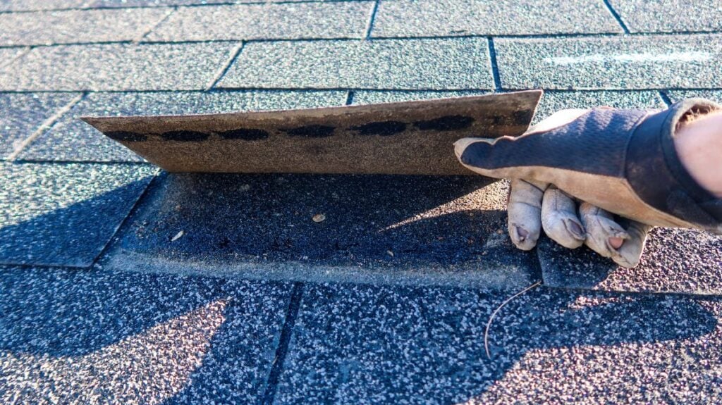 asphalt roof maintenance A gloved hand lifts a loose asphalt shingle on a roof, revealing the underlying layer and some debris—an important step in Asphalt Roof Maintenance and routine roof maintenance tips for preventing future damage.