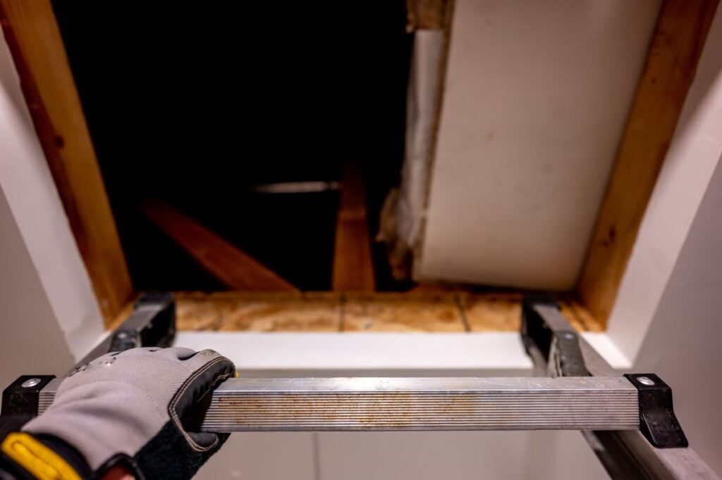 asphalt roof maintenance A gloved hand holds a ladder positioned at the entrance of a dark attic with visible wooden beams and white walls, highlighting the importance of roof maintenance tips for spaces beneath an Asphalt Roof 2026.